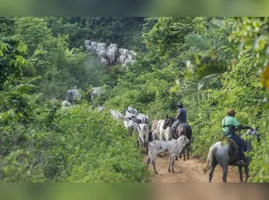 Trata-se do primeiro lançamento comercial de um veículo espacial a partir do território nacional