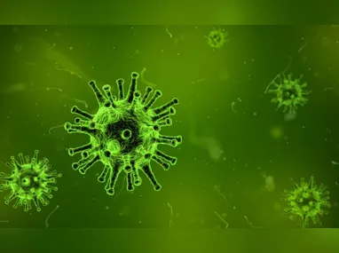 Consumidores que já tenham adquirido os produtos devem entrar em contato pelo SAC