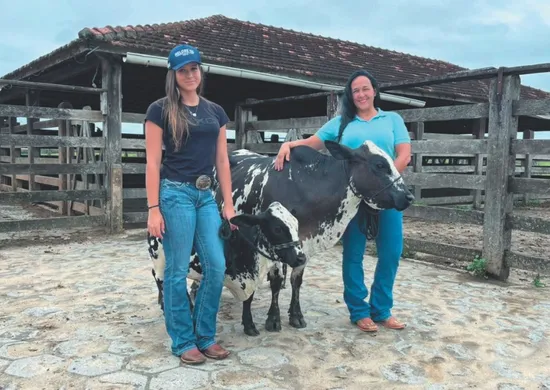 Imagem ilustrativa da imagem 14 mil sítios e fazendas do ES são comandados por mulheres