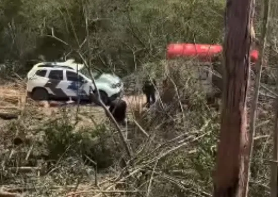 Imagem ilustrativa da imagem Adolescente morre após ser atingido por árvore de eucalipto no Sul do ES