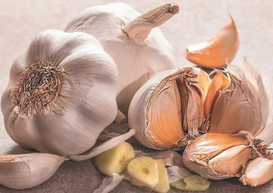 Imagem ilustrativa da imagem Alho fica maior e “livre” de doenças