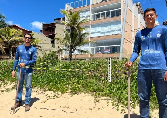 Imagem ilustrativa da imagem Área cercada para desova de tartarugas no litoral do ES