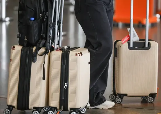 Imagem ilustrativa da imagem Brasil terá novas regras para entrada de produtos agropecuários em bagagens