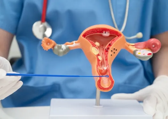 Imagem ilustrativa da imagem Câncer de vulva e vagina mata quase 600 mulheres em 2025