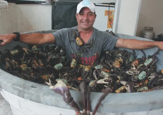 Imagem ilustrativa da imagem Comerciante capixaba faz "mergulho” em piscina de caranguejos