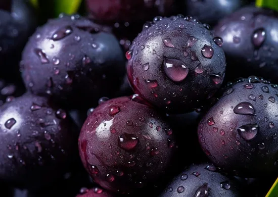 Imagem ilustrativa da imagem Conheça 15 ingredientes essenciais da cozinha paraense