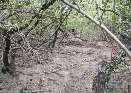 Imagem ilustrativa da imagem Corpo é encontrado em região de mangue de Vitória