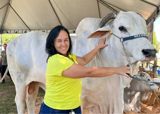 Imagem ilustrativa da imagem Criado em pastos do ES, gado "zero dentes" faz sucesso no exterior