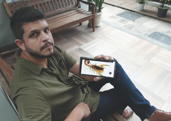 Imagem ilustrativa da imagem ES registra mais de 5 mil acidentes com escorpiões