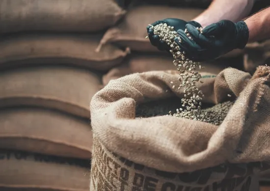 Imagem ilustrativa da imagem Exportação de café do Espírito Santo para 62 países em 2025