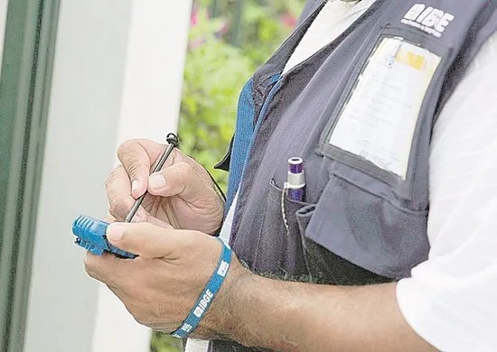 Imagem ilustrativa da imagem IBGE abre 321 vagas temporárias no Espírito Santo. Veja como se inscrever