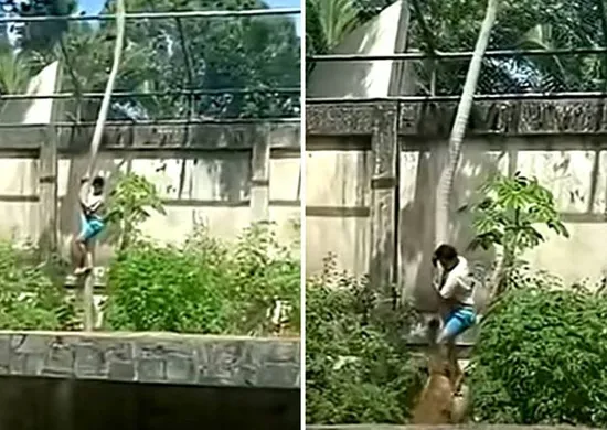 Imagem ilustrativa da imagem Jovem morto em zoo tinha transtornos mentais e queria cuidar de leões na África