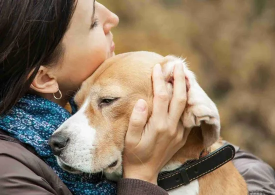 Imagem ilustrativa da imagem Luto por pets pode ser pior do que a perda de parentes