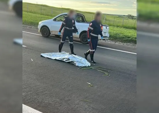 Imagem ilustrativa da imagem Mulher declarada morta após atropelamento em rodovia é reanimada minutos depois