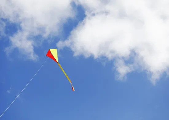 Imagem ilustrativa da imagem Pipas deixaram 170 mil imóveis sem energia no Espírito Santo