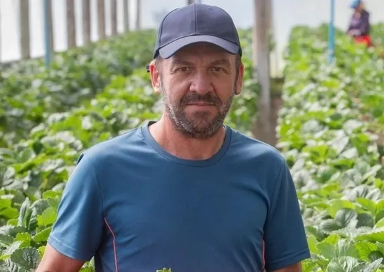 Imagem ilustrativa da imagem Polícia gaúcha afasta 18 agentes após morte de produtor de morangos em Pelotas