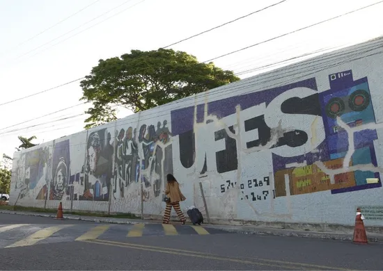 Imagem ilustrativa da imagem Ufes estuda reservar cotas para pessoas trans