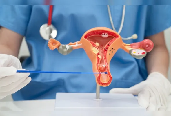 Imagem ilustrativa da imagem Câncer de vulva e vagina mata quase 600 mulheres em 2025