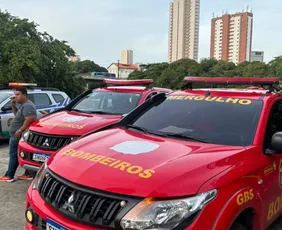 Imagem ilustrativa da imagem Bombeiros retomam as buscas no Rio Capibaribe por remador desaparecido no Recife