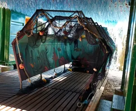 Imagem ilustrativa da imagem Serra recebe exposição nacional gratuita ‘Maré de Mudanças - Década dos Oceanos'