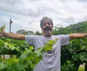 Imagem ilustrativa da imagem Uvas de volta ao berço: Itamaracá aprova Título de Cidadão para biólogo pioneiro
