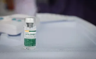 Imagem ilustrativa da imagem Butantan antecipa entrega de 1,3 mi de vacinas contra dengue ao SUS