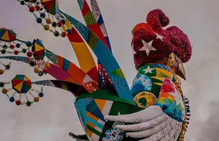 Imagem ilustrativa da imagem O canto do Galo: Majestade domina o Recife sob o sol da paz e 30 trios