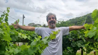 Imagem ilustrativa da imagem Uvas de volta ao berço: Itamaracá aprova Título de Cidadão para biólogo pioneiro