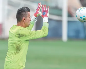 Imagem ilustrativa da imagem Ex-goleiros sugerem Fábio, do Fluminense, na Copa do Mundo