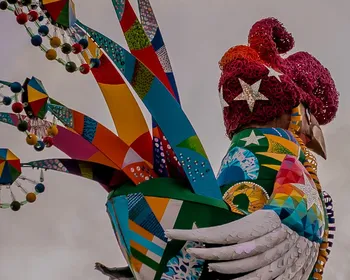 Imagem ilustrativa da imagem O canto do Galo: Majestade domina o Recife sob o sol da paz e 30 trios