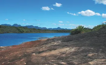 Imagem ilustrativa da imagem Ampliação do Parque Paulo César Vinha pode criar corredor ecológico