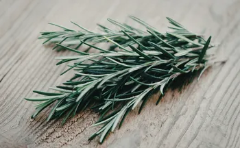 Imagem ilustrativa da imagem Anvisa suspende lote de alecrim com insetos vivos e pelo de animais