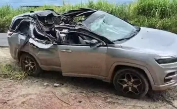 Imagem ilustrativa da imagem Árvore cai sobre carro e mata criança de 1 ano em MG