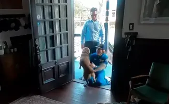 Imagem ilustrativa da imagem Astronauta da Artemis II grava reencontro com cachorro de estimação após missão