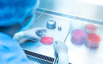 Imagem ilustrativa da imagem Bactéria resistente se espalha fora de hospitais e desafia protocolos médicos