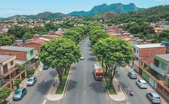 Imagem ilustrativa da imagem Cidades no ES criam projetos para reduzir sensação de calor