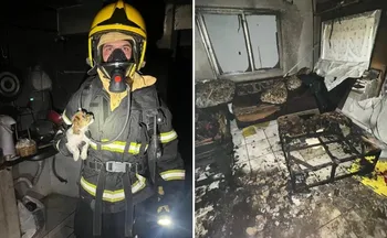 Imagem ilustrativa da imagem Duas crianças são resgatadas desacordadas após incêndio em Colatina