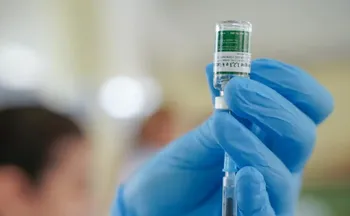 Imagem ilustrativa da imagem Equipes do SUS começam a receber vacina do Butantan contra a dengue