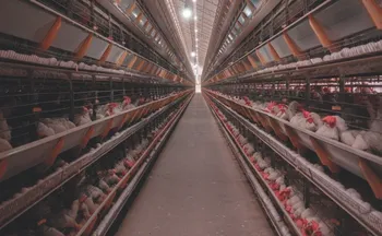 Imagem ilustrativa da imagem Fábrica de ração recebeu R$ 30 milhões em investimentos em Santa Maria de Jetibá