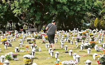 Imagem ilustrativa da imagem Lei em São Paulo permite sepultamento de pets junto aos seus tutores