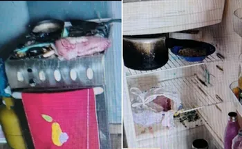 Imagem ilustrativa da imagem Mulher é presa acusada de maus-tratos contra os filhos em Vila Velha