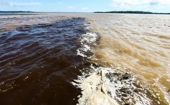 Imagem ilustrativa da imagem Naufrágio no Amazonas deixa dois mortos e sete pessoas desaparecidas