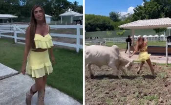 Imagem ilustrativa da imagem Nicole Bahls quase é atingida por cabeçada de vaca em momento inusitado
