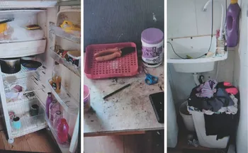 Imagem ilustrativa da imagem O que se sabe sobre o caso da mulher que deixou três filhos sozinhos em casa no ES