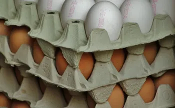 Imagem ilustrativa da imagem Ovos, frango e carne suína podem ficar mais caros com a guerra no Irã, diz setor