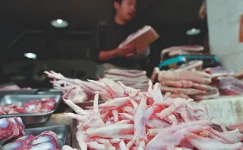 Imagem ilustrativa da imagem Pé de galinha produzido no ES atrai interesse milionário da China