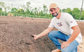 Imagem ilustrativa da imagem Redução de custos com reaproveitamento de palha de café na produção de adubo