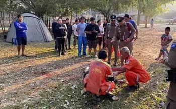 Imagem ilustrativa da imagem Turista morre pisoteado por elefante em parque nacional na Tailândia