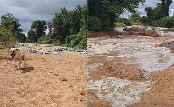 Imagem ilustrativa da imagem VÍDEO | Influencer registra momento em que água volta a correr em rio após seca