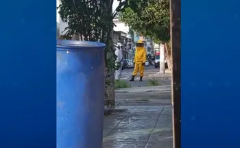 Imagem ilustrativa da imagem VÍDEO | Seis pessoas ficam feridas após ataque de abelhas em Vila Velha
